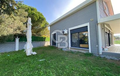 Urla Zeytineli Köyünde Denize 600m Mesafede Satılık Tarla