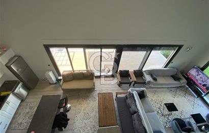 Urla Zeytineli Köyünde Denize 600m Mesafede Satılık Tarla