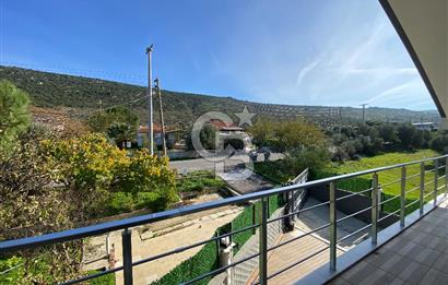 Urla Zeytineli Köyünde Denize 600m Mesafede Satılık Tarla