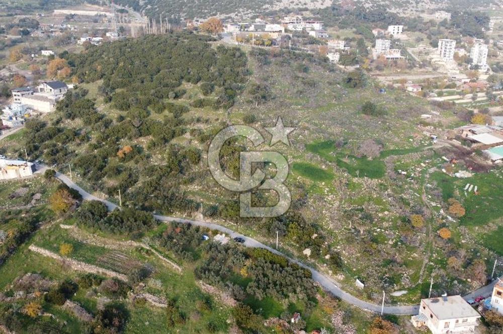 BORNOVA EĞRİDERE DE TEK TAPU DEĞERLİ KONUMDA SATILIK TARLA 