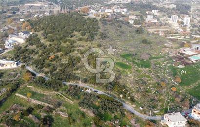 BORNOVA EĞRİDERE DE TEK TAPU DEĞERLİ KONUMDA SATILIK TARLA 