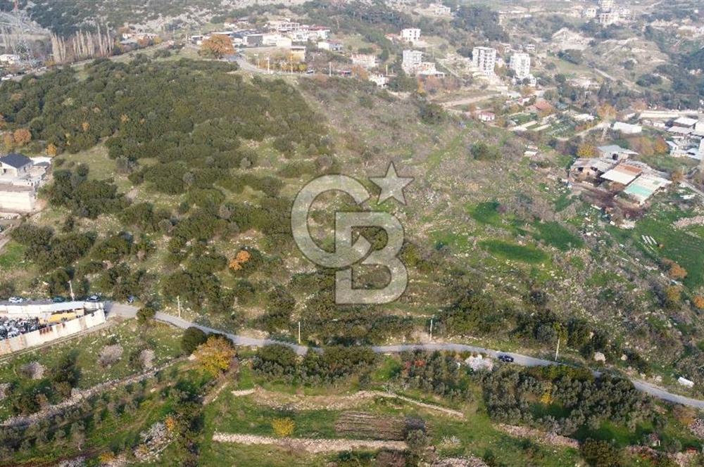 BORNOVA EĞRİDERE DE TEK TAPU DEĞERLİ KONUMDA SATILIK TARLA 