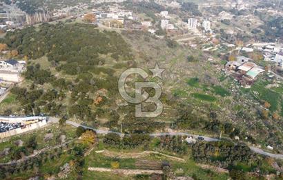 BORNOVA EĞRİDERE DE TEK TAPU DEĞERLİ KONUMDA SATILIK TARLA 