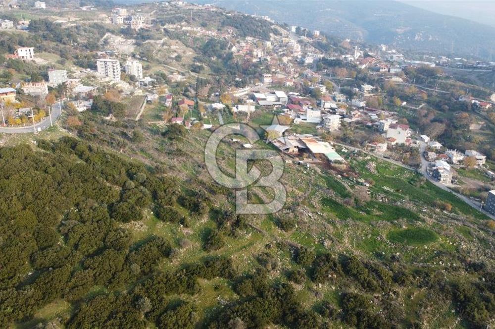 BORNOVA EĞRİDERE DE TEK TAPU DEĞERLİ KONUMDA SATILIK TARLA 