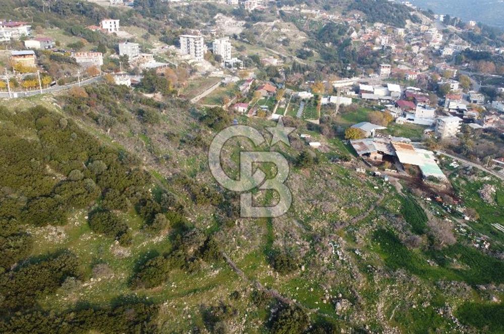 BORNOVA EĞRİDERE DE TEK TAPU DEĞERLİ KONUMDA SATILIK TARLA 