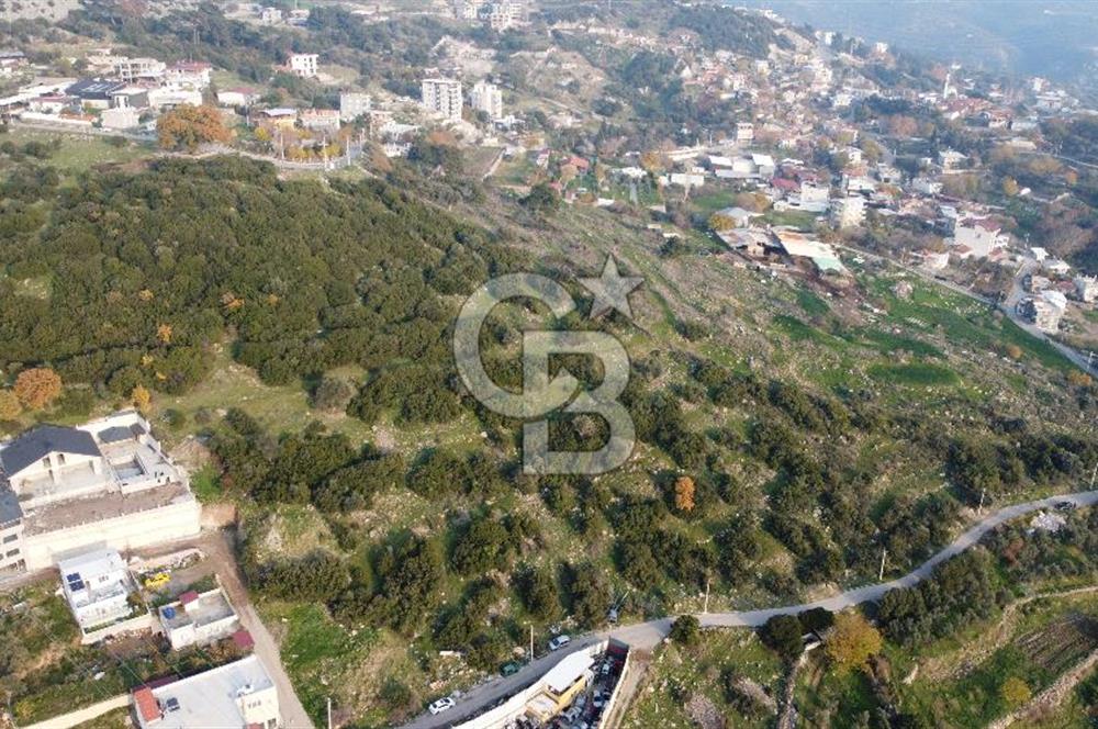 BORNOVA EĞRİDERE DE TEK TAPU DEĞERLİ KONUMDA SATILIK TARLA 