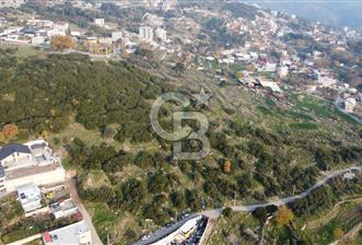 BORNOVA EĞRİDERE DE TEK TAPU DEĞERLİ KONUMDA SATILIK TARLA  - 1 - 326498