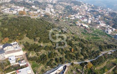 BORNOVA EĞRİDERE DE TEK TAPU DEĞERLİ KONUMDA SATILIK TARLA 