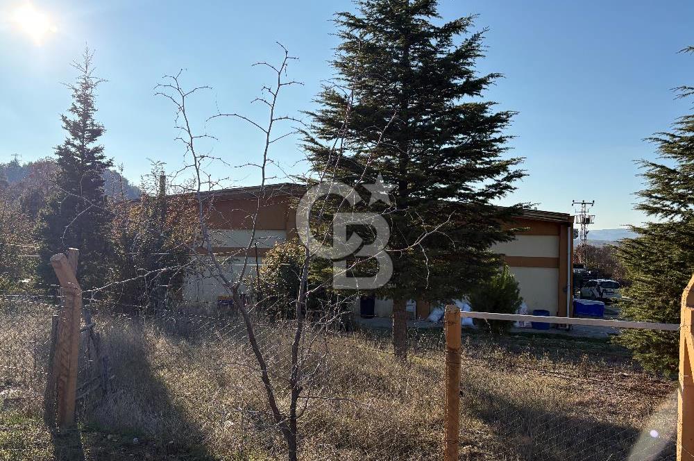 UŞAK MERKEZ GÜRE İZMİR YOLU ÜZERİ BÜYÜK METRAJLI 3 PARSEL ARAZİ