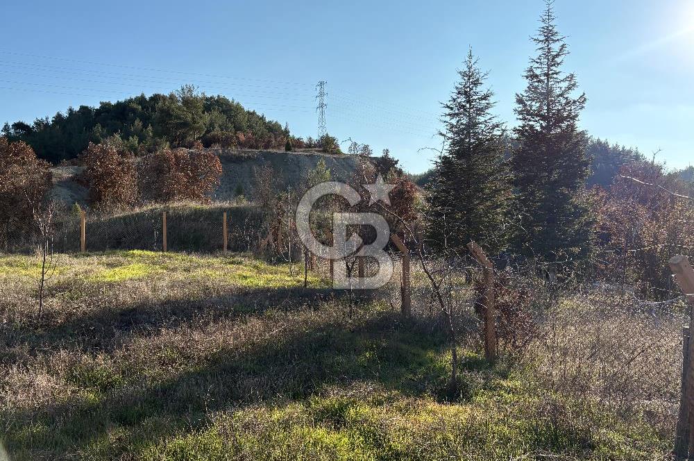 UŞAK MERKEZ GÜRE İZMİR YOLU ÜZERİ BÜYÜK METRAJLI 3 PARSEL ARAZİ