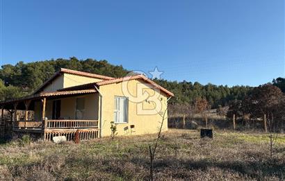 UŞAK MERKEZ GÜRE İZMİR YOLU ÜZERİ BÜYÜK METRAJLI 3 PARSEL ARAZİ