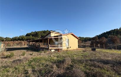 UŞAK MERKEZ GÜRE İZMİR YOLU ÜZERİ BÜYÜK METRAJLI 3 PARSEL ARAZİ