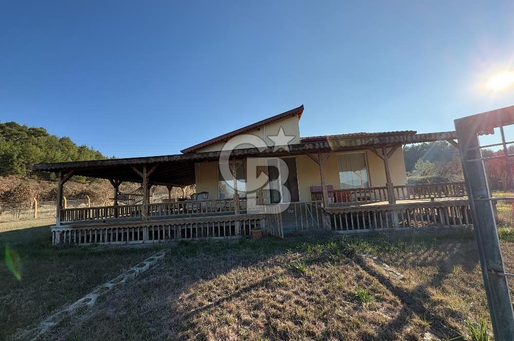 UŞAK MERKEZ GÜRE İZMİR YOLU ÜZERİ BÜYÜK METRAJLI 3 PARSEL ARAZİ