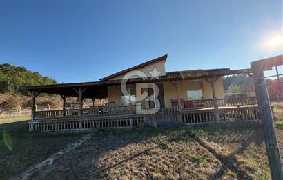 UŞAK MERKEZ GÜRE İZMİR YOLU ÜZERİ BÜYÜK METRAJLI 3 PARSEL ARAZİ