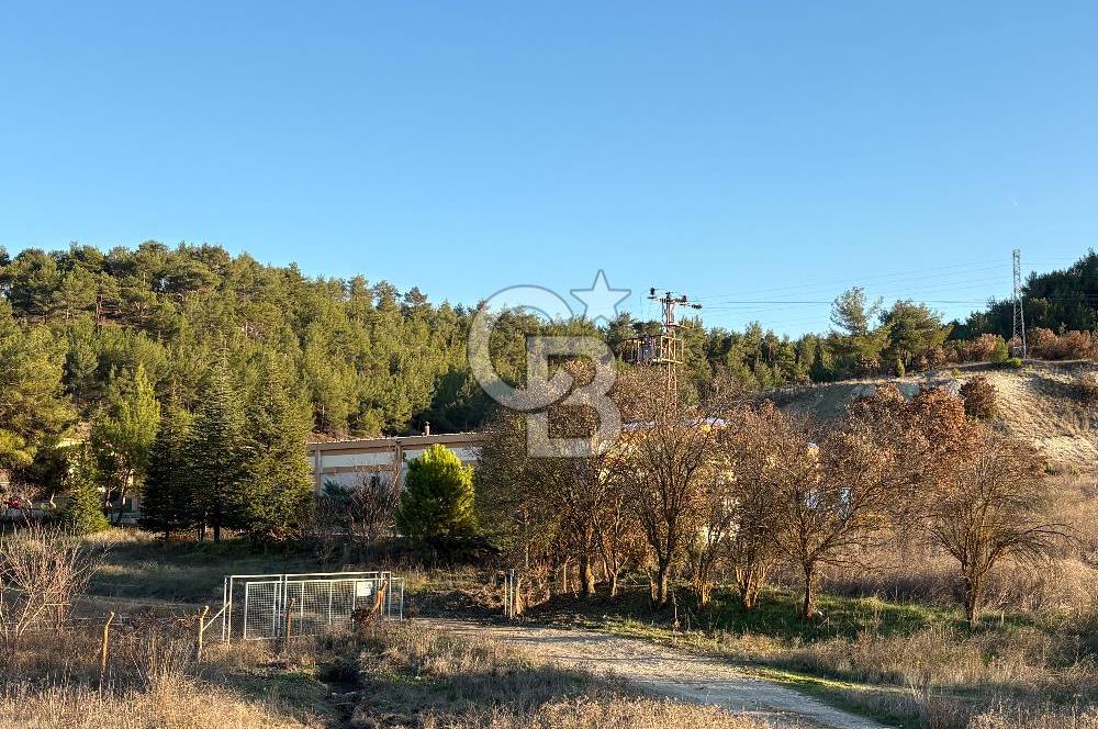 UŞAK MERKEZ GÜRE İZMİR YOLU ÜZERİ BÜYÜK METRAJLI 3 PARSEL ARAZİ