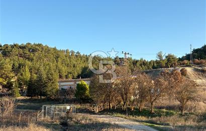 UŞAK MERKEZ GÜRE İZMİR YOLU ÜZERİ BÜYÜK METRAJLI 3 PARSEL ARAZİ