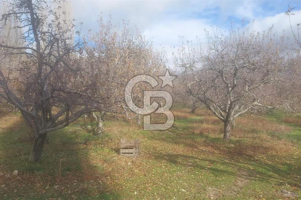 CB GİZ'DEN KAŞ YAYLA ÜZÜMLÜ'DE SATILIK BAHÇE
