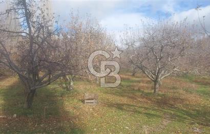 CB GİZ'DEN KAŞ YAYLA ÜZÜMLÜ'DE SATILIK BAHÇE