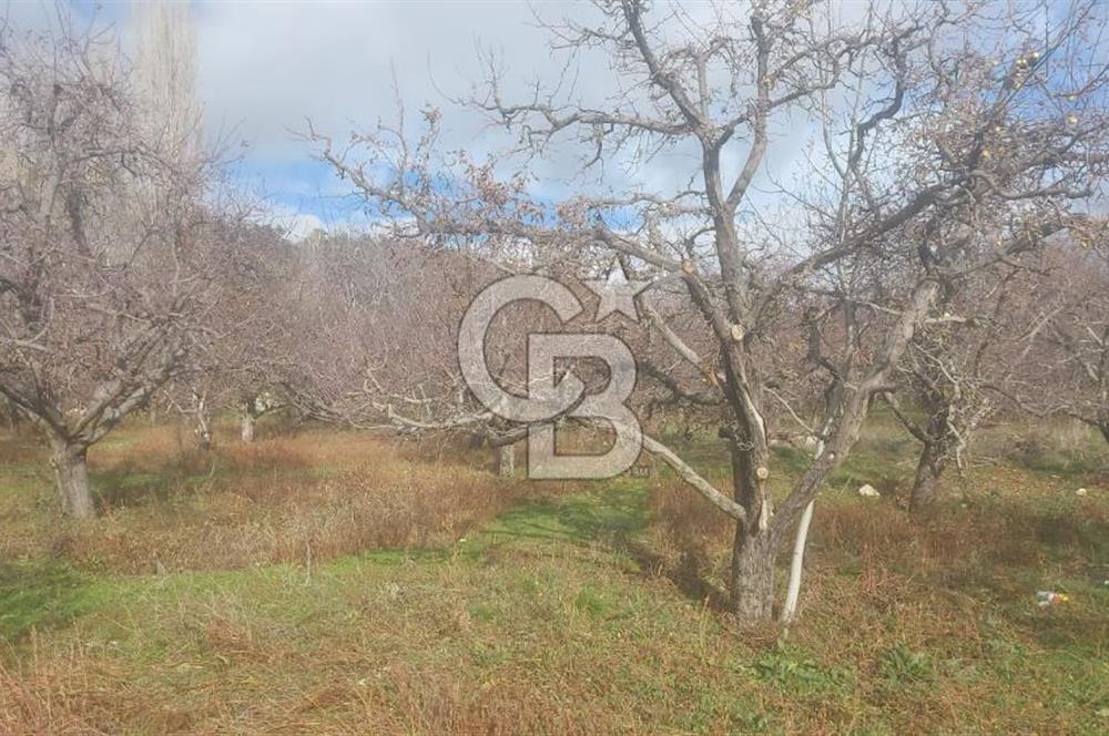 CB GİZ'DEN KAŞ YAYLA ÜZÜMLÜ'DE SATILIK BAHÇE