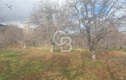CB GİZ'DEN KAŞ YAYLA ÜZÜMLÜ'DE SATILIK BAHÇE