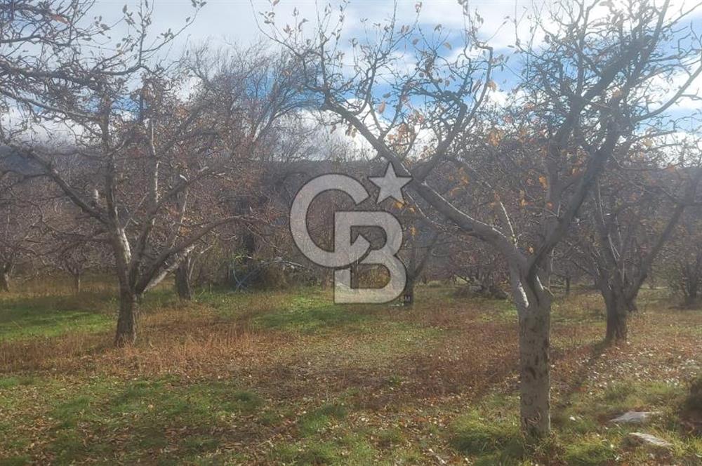 CB GİZ'DEN KAŞ YAYLA ÜZÜMLÜ'DE SATILIK BAHÇE
