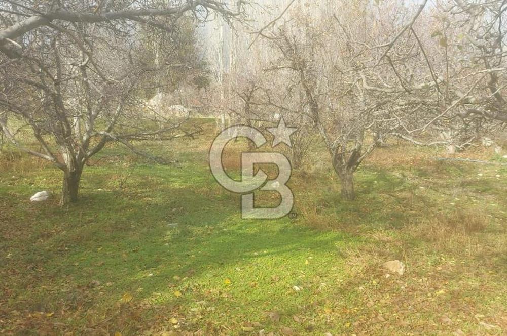 CB GİZ'DEN KAŞ YAYLA ÜZÜMLÜ'DE SATILIK BAHÇE
