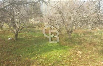 CB GİZ'DEN KAŞ YAYLA ÜZÜMLÜ'DE SATILIK BAHÇE