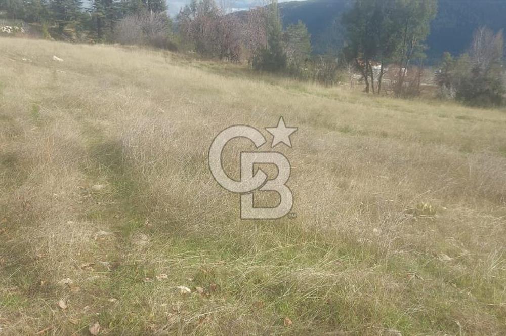 CB GİZ'DEN KAŞ YAYLA ÜZÜMLÜ'DE SATILIK BAHÇE