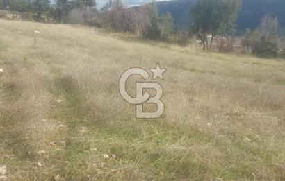 CB GİZ'DEN KAŞ YAYLA ÜZÜMLÜ'DE SATILIK BAHÇE