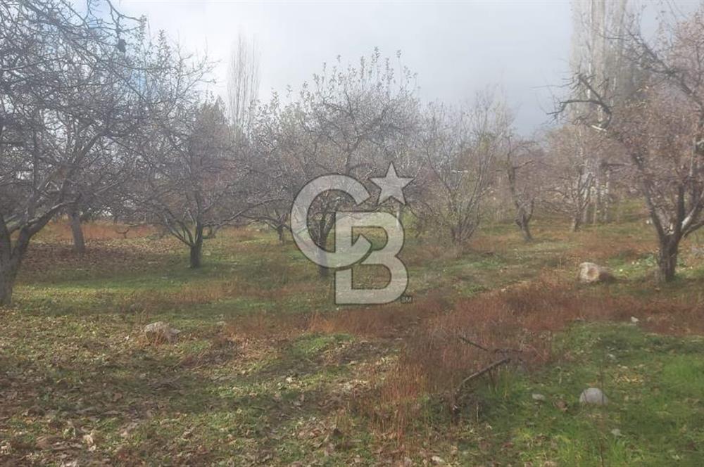 CB GİZ'DEN KAŞ YAYLA ÜZÜMLÜ'DE SATILIK BAHÇE