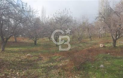 CB GİZ'DEN KAŞ YAYLA ÜZÜMLÜ'DE SATILIK BAHÇE