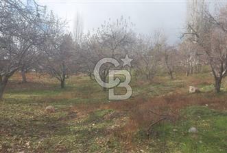 CB GİZ'DEN KAŞ YAYLA ÜZÜMLÜ'DE SATILIK BAHÇE - 4 - 326488