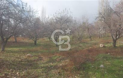 CB GİZ'DEN KAŞ YAYLA ÜZÜMLÜ'DE SATILIK BAHÇE