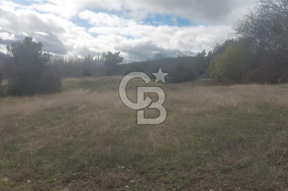 CB GİZ'DEN KAŞ YAYLA ÜZÜMLÜ'DE SATILIK BAHÇE