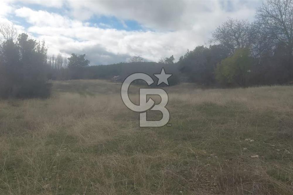 CB GİZ'DEN KAŞ YAYLA ÜZÜMLÜ'DE SATILIK BAHÇE