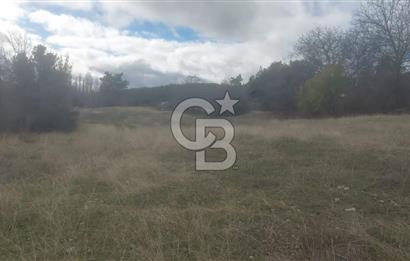 CB GİZ'DEN KAŞ YAYLA ÜZÜMLÜ'DE SATILIK BAHÇE