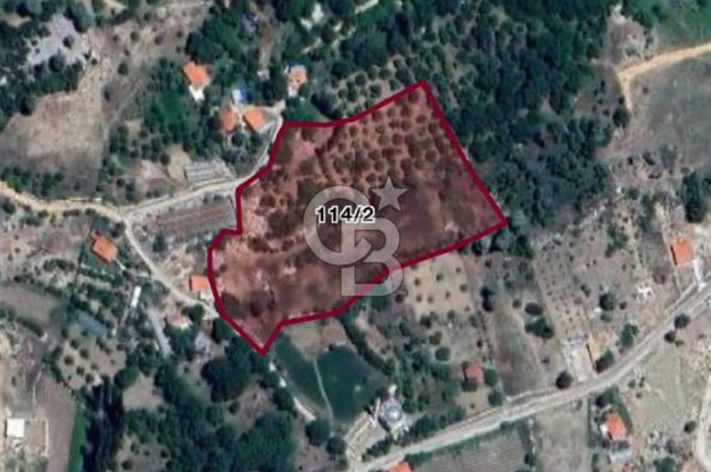 CB GİZ'DEN KAŞ YAYLA ÜZÜMLÜ'DE SATILIK BAHÇE