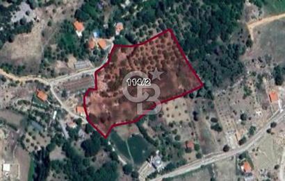 CB GİZ'DEN KAŞ YAYLA ÜZÜMLÜ'DE SATILIK BAHÇE