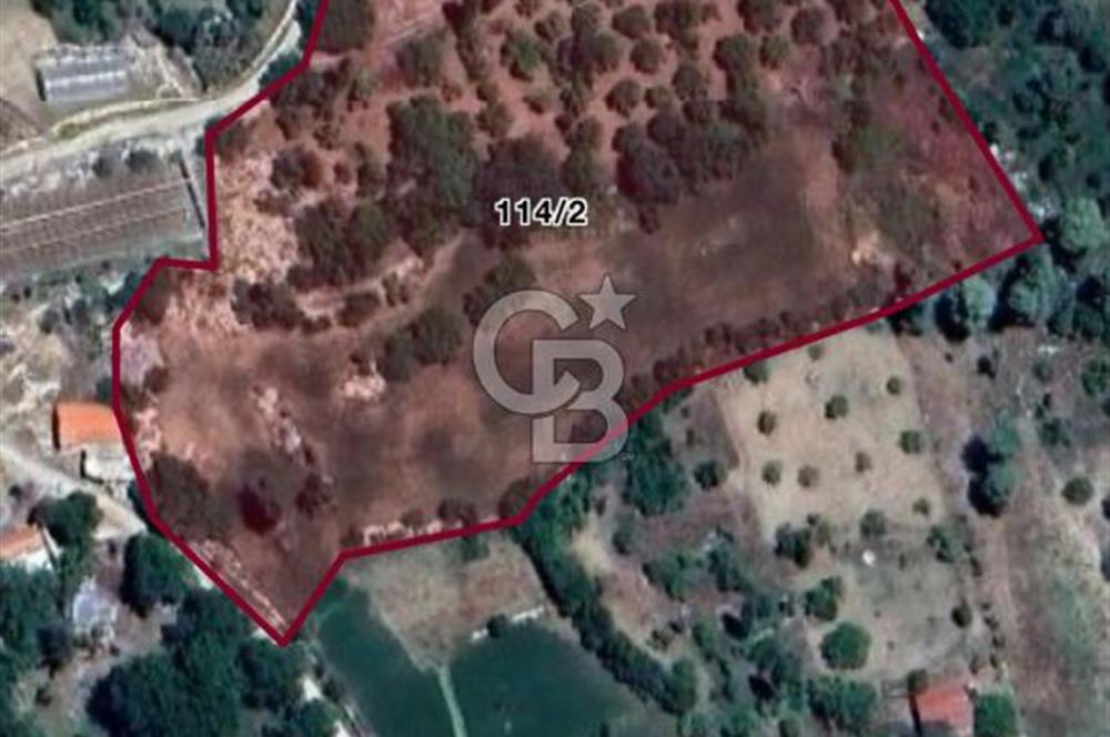 CB GİZ'DEN KAŞ YAYLA ÜZÜMLÜ'DE SATILIK BAHÇE