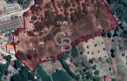 CB GİZ'DEN KAŞ YAYLA ÜZÜMLÜ'DE SATILIK BAHÇE