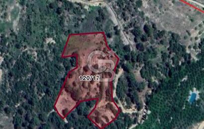 CB GİZ'DEN KAŞ YUVACIK'TA ACİL SATILIK TARLA