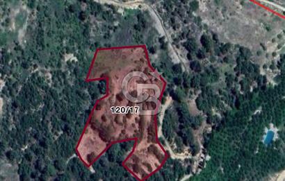 CB GİZ'DEN KAŞ YUVACIK'TA ACİL SATILIK TARLA