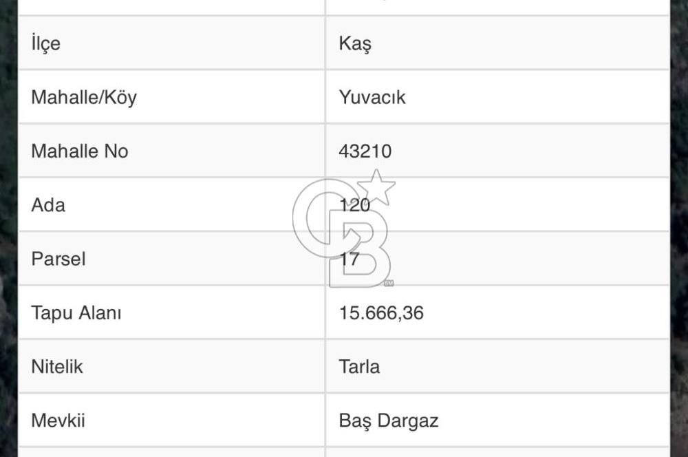 CB GİZ'DEN KAŞ YUVACIK'TA ACİL SATILIK TARLA