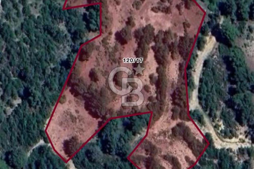 CB GİZ'DEN KAŞ YUVACIK'TA ACİL SATILIK TARLA