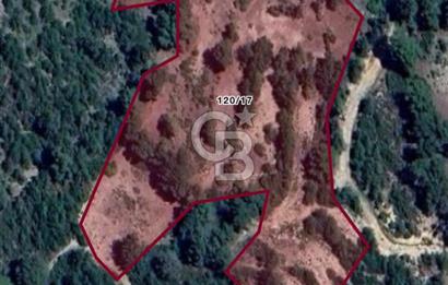 CB GİZ'DEN KAŞ YUVACIK'TA ACİL SATILIK TARLA