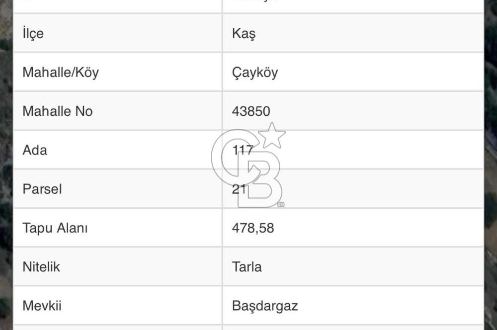 CB GİZ'DEN KAŞ YAYLA ÇAYKÖY'DE ACİL SATILIK TARLA