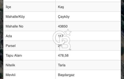 CB GİZ'DEN KAŞ YAYLA ÇAYKÖY'DE ACİL SATILIK TARLA