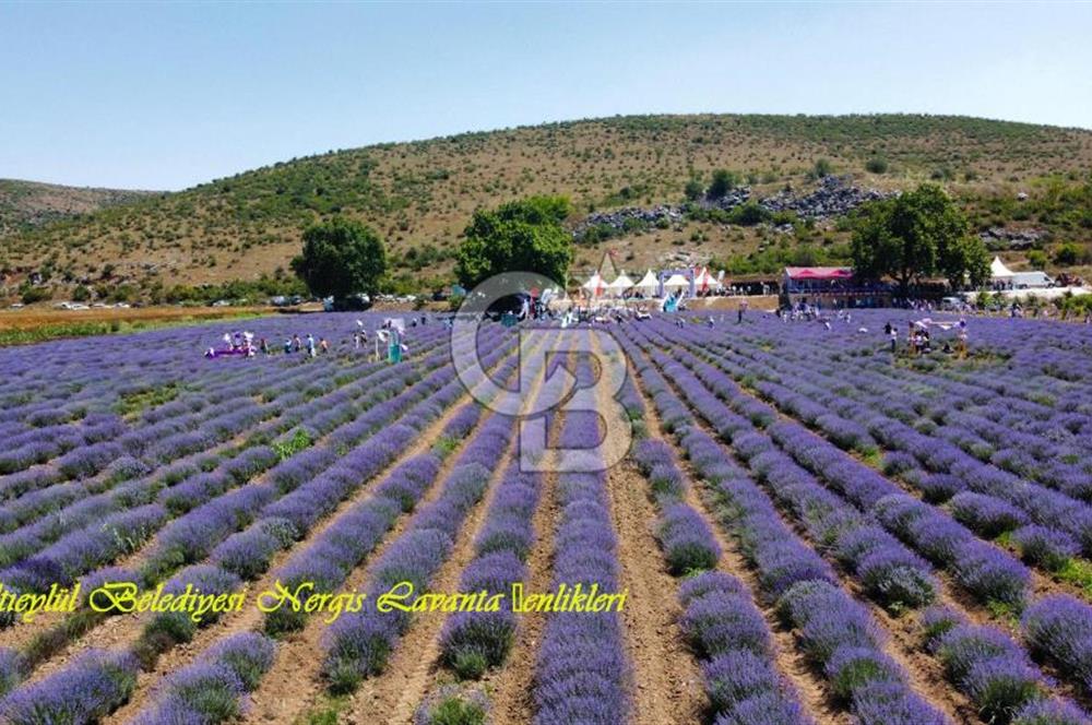 CB KİNG'DEN NERGİZ MAHALLESİ SATILIK 240m² ARSA VE ARSA İÇERİSİNDE 100m² EV 