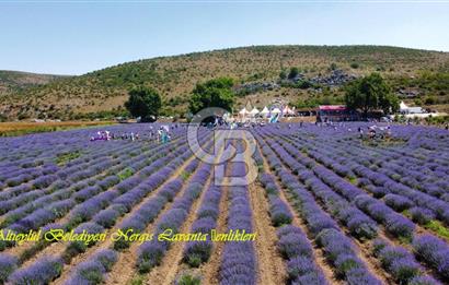 CB KİNG'DEN NERGİZ MAHALLESİ SATILIK 240m² ARSA VE ARSA İÇERİSİNDE 100m² EV 