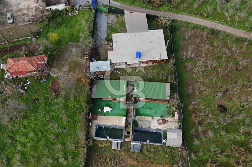 1293325051 AKÇAKOCA DA 2964 M2 TURİZM İMARLI SATILIK ARSA VE YAPI 